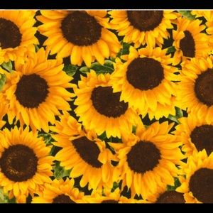 Meet your Posher, Ruthellen